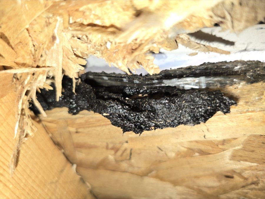 Panneau de bois pourri par l'infiltration, ancien goudron en surface.